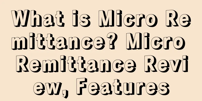 What is Micro Remittance? Micro Remittance Review, Features