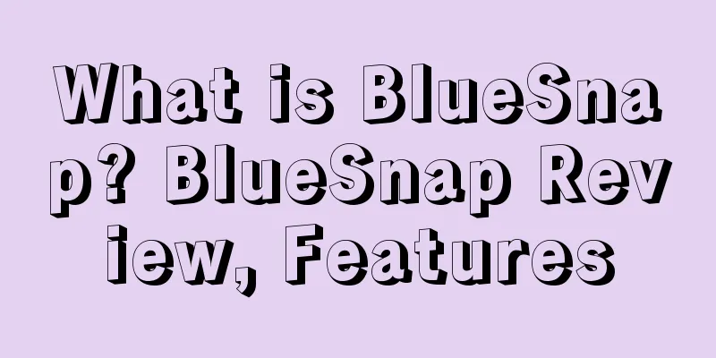 What is BlueSnap? BlueSnap Review, Features