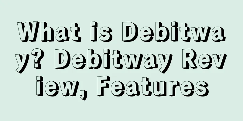 What is Debitway? Debitway Review, Features