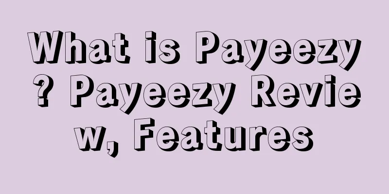 What is Payeezy? Payeezy Review, Features