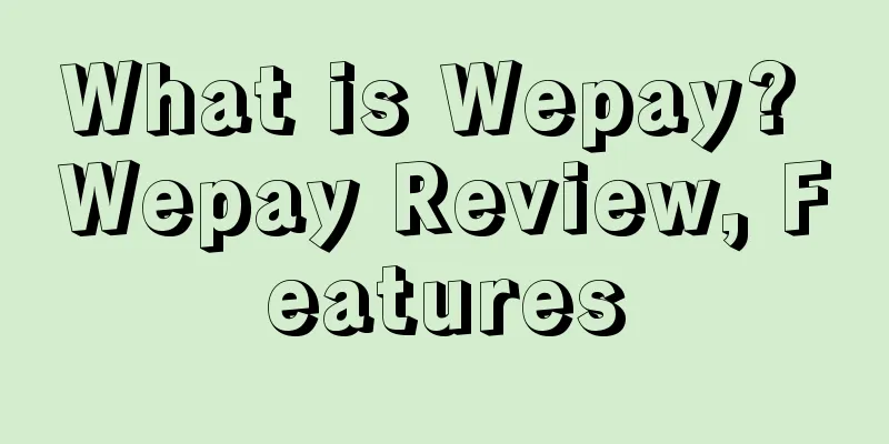 What is Wepay? Wepay Review, Features