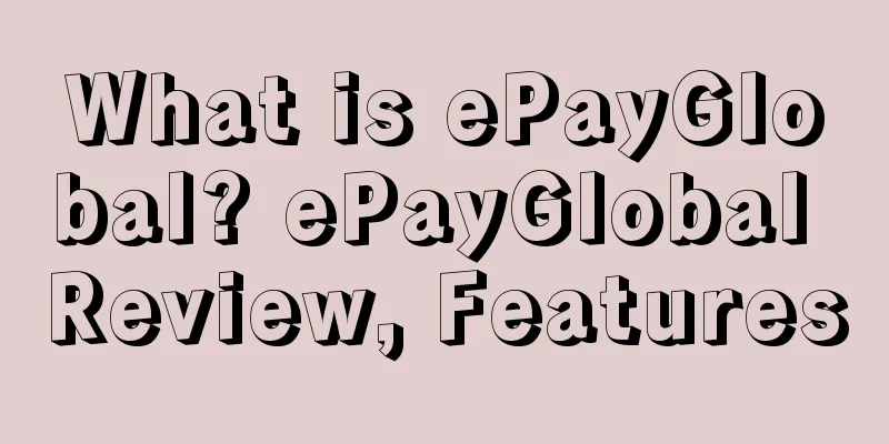 What is ePayGlobal? ePayGlobal Review, Features