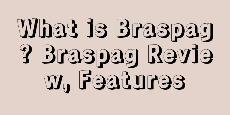 What is Braspag? Braspag Review, Features