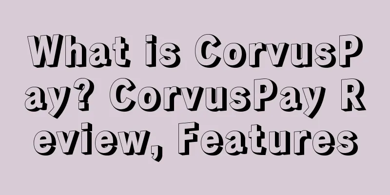 What is CorvusPay? CorvusPay Review, Features