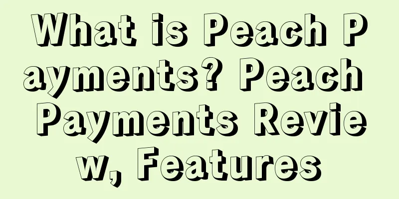 What is Peach Payments? Peach Payments Review, Features