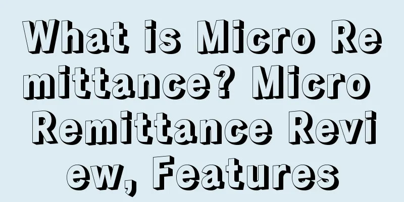 What is Micro Remittance? Micro Remittance Review, Features