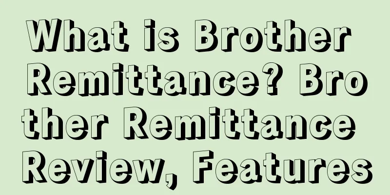 What is Brother Remittance? Brother Remittance Review, Features