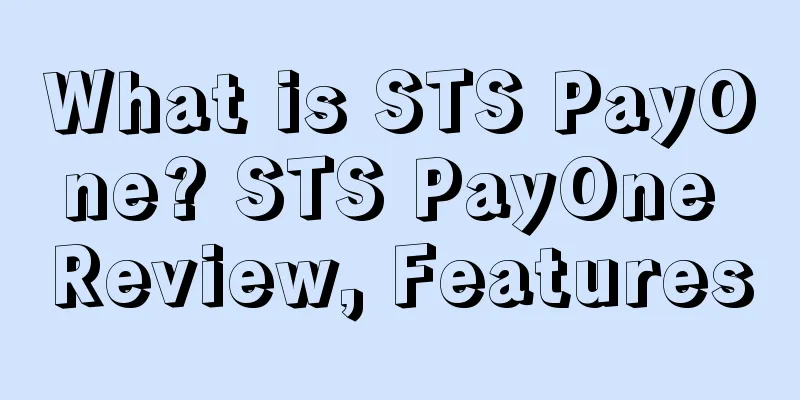 What is STS PayOne? STS PayOne Review, Features