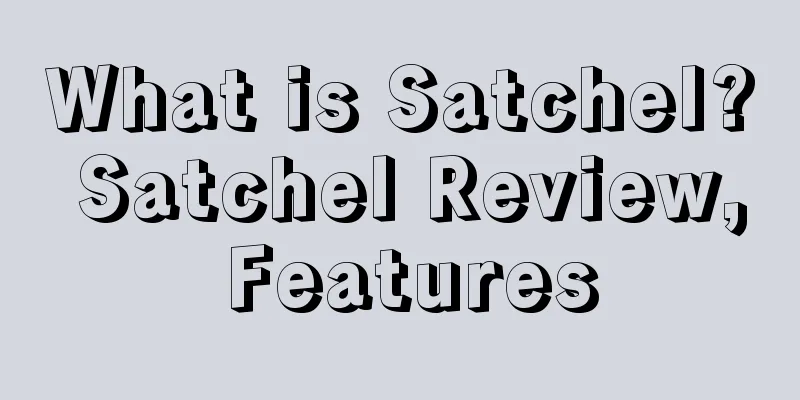 What is Satchel? Satchel Review, Features