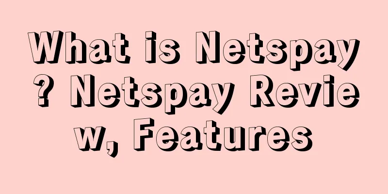 What is Netspay? Netspay Review, Features