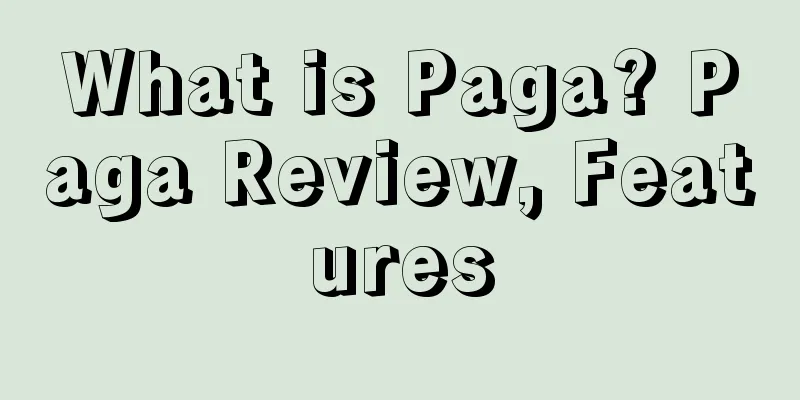 What is Paga? Paga Review, Features