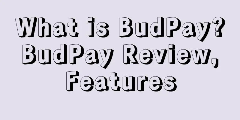 What is BudPay? BudPay Review, Features