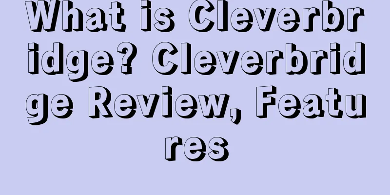What is Cleverbridge? Cleverbridge Review, Features