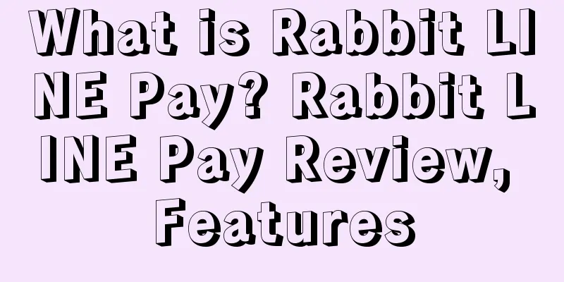 What is Rabbit LINE Pay? Rabbit LINE Pay Review, Features