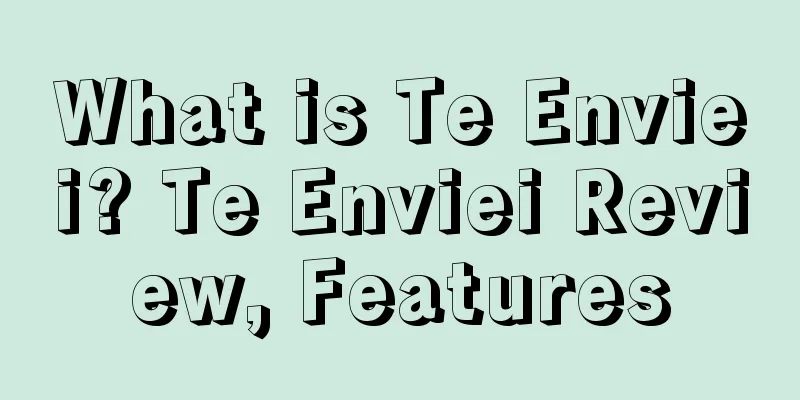 What is Te Enviei? Te Enviei Review, Features