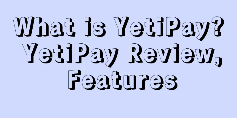What is YetiPay? YetiPay Review, Features