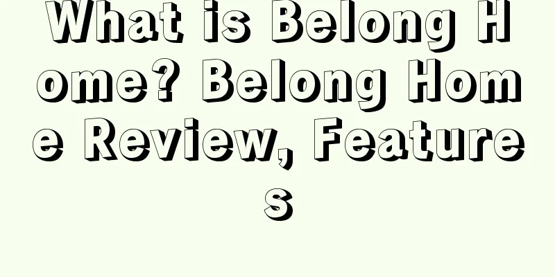 What is Belong Home? Belong Home Review, Features