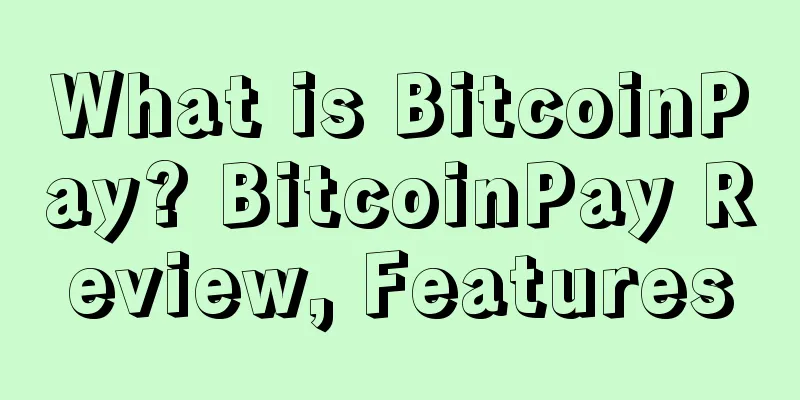 What is BitcoinPay? BitcoinPay Review, Features