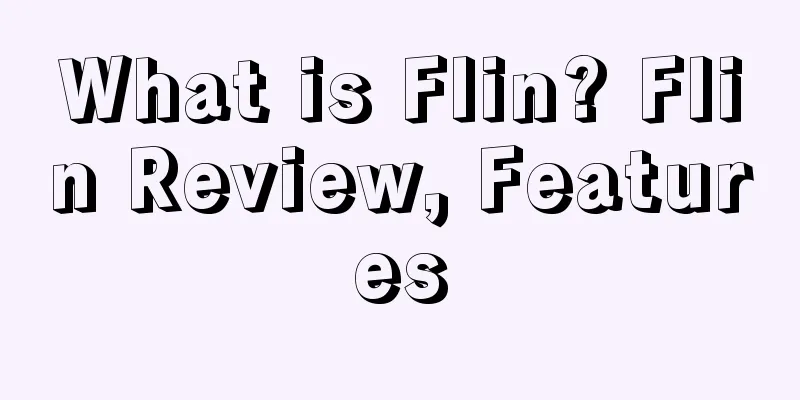 What is Flin? Flin Review, Features