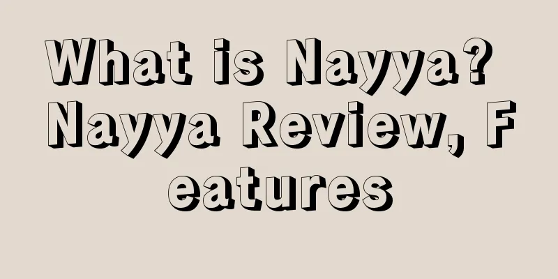 What is Nayya? Nayya Review, Features