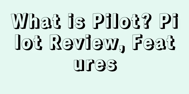 What is Pilot? Pilot Review, Features