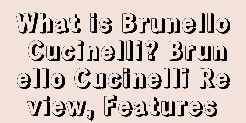 What is Brunello Cucinelli? Brunello Cucinelli Review, Features