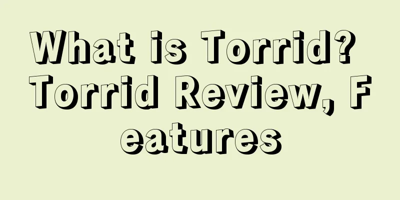 What is Torrid? Torrid Review, Features