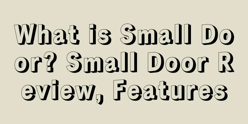 What is Small Door? Small Door Review, Features