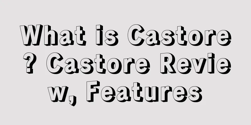 What is Castore? Castore Review, Features
