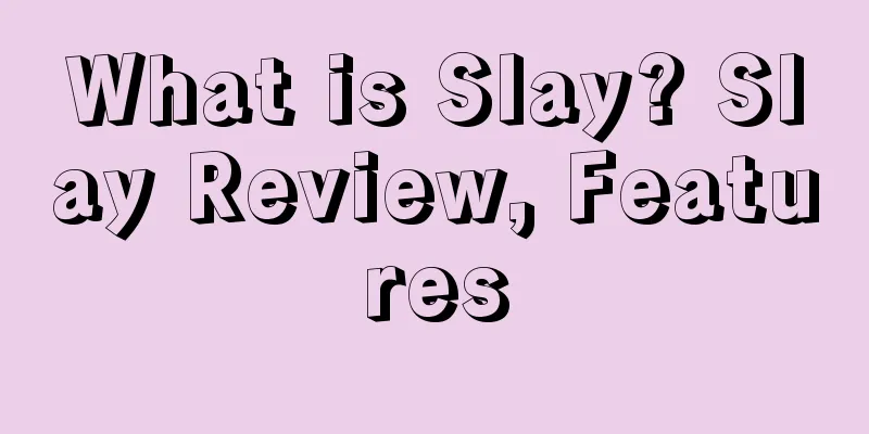 What is Slay? Slay Review, Features