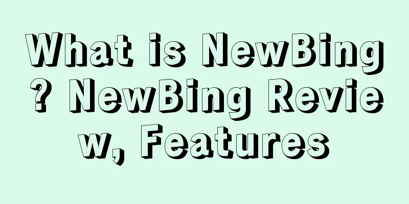 What is NewBing? NewBing Review, Features