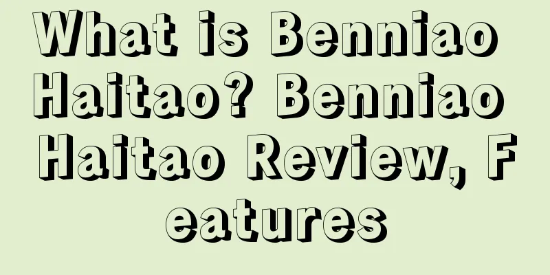 What is Benniao Haitao? Benniao Haitao Review, Features