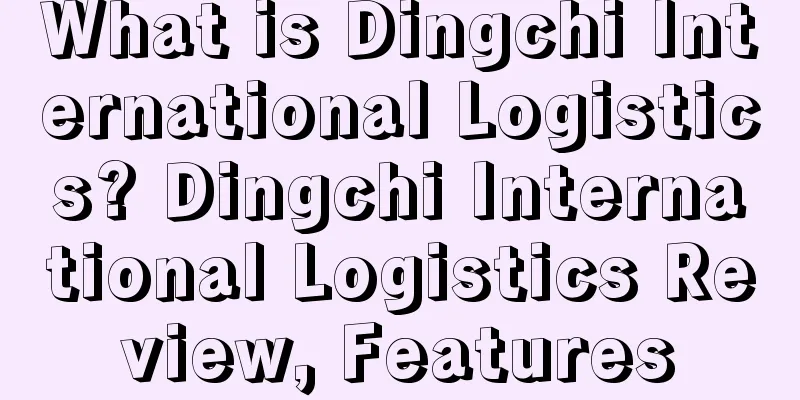 What is Dingchi International Logistics? Dingchi International Logistics Review, Features