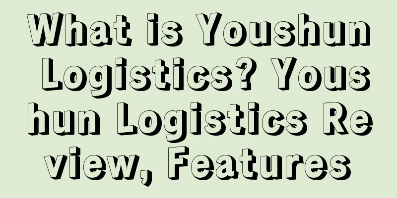 What is Youshun Logistics? Youshun Logistics Review, Features