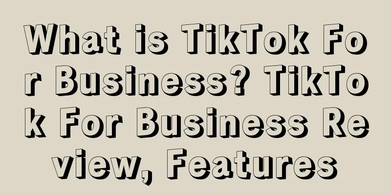 What is TikTok For Business? TikTok For Business Review, Features