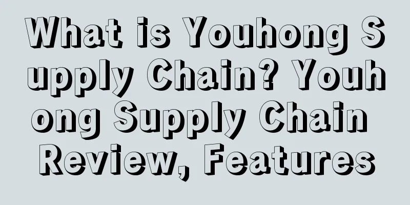 What is Youhong Supply Chain? Youhong Supply Chain Review, Features