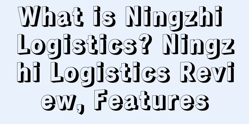 What is Ningzhi Logistics? Ningzhi Logistics Review, Features