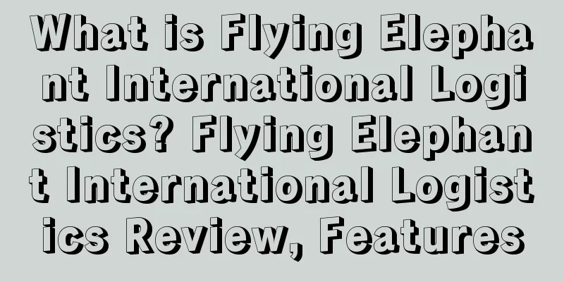 What is Flying Elephant International Logistics? Flying Elephant International Logistics Review, Features