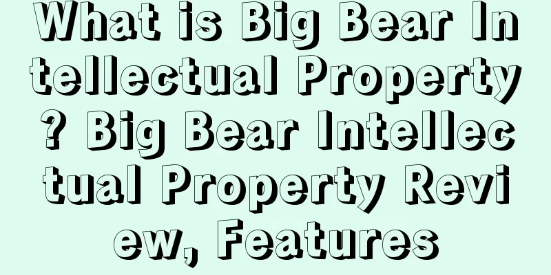 What is Big Bear Intellectual Property? Big Bear Intellectual Property Review, Features