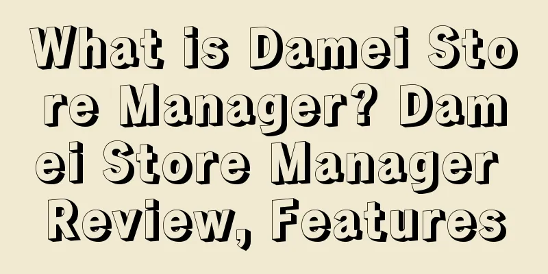 What is Damei Store Manager? Damei Store Manager Review, Features