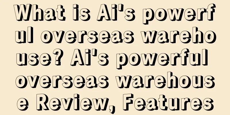What is Ai's powerful overseas warehouse? Ai's powerful overseas warehouse Review, Features