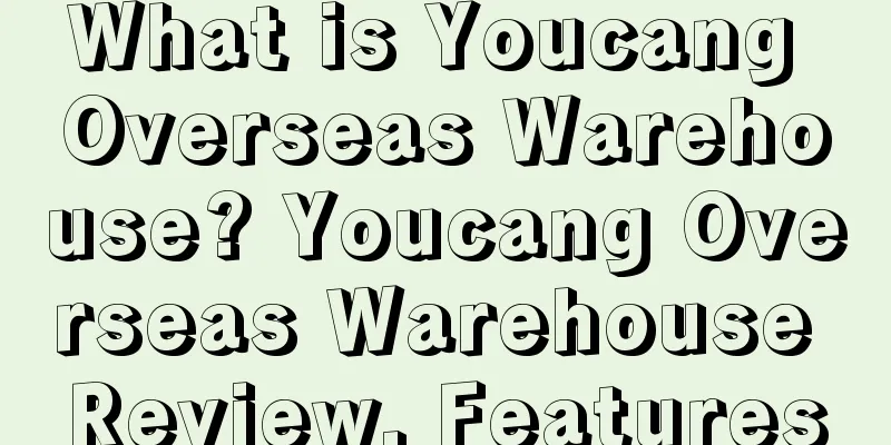 What is Youcang Overseas Warehouse? Youcang Overseas Warehouse Review, Features