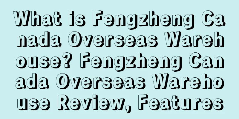What is Fengzheng Canada Overseas Warehouse? Fengzheng Canada Overseas Warehouse Review, Features