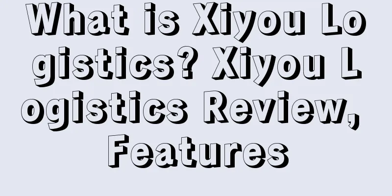 What is Xiyou Logistics? Xiyou Logistics Review, Features