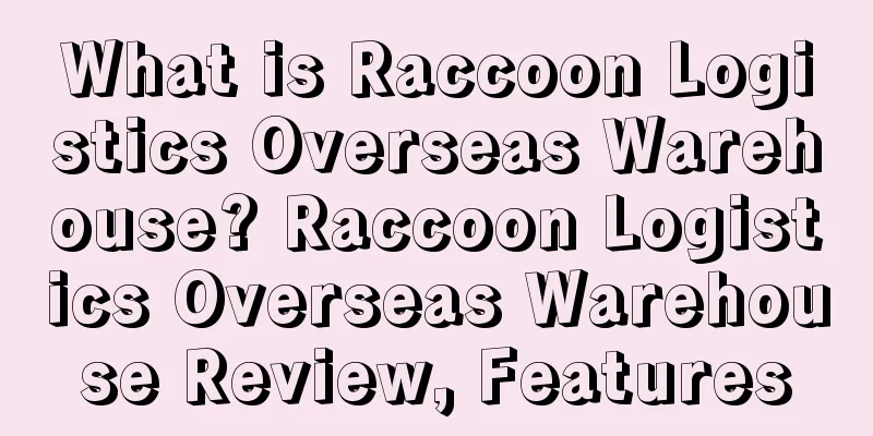 What is Raccoon Logistics Overseas Warehouse? Raccoon Logistics Overseas Warehouse Review, Features