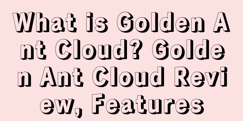 What is Golden Ant Cloud? Golden Ant Cloud Review, Features