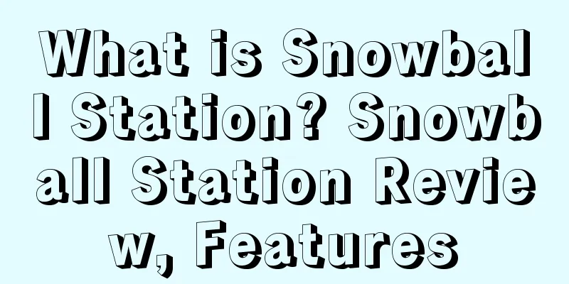 What is Snowball Station? Snowball Station Review, Features