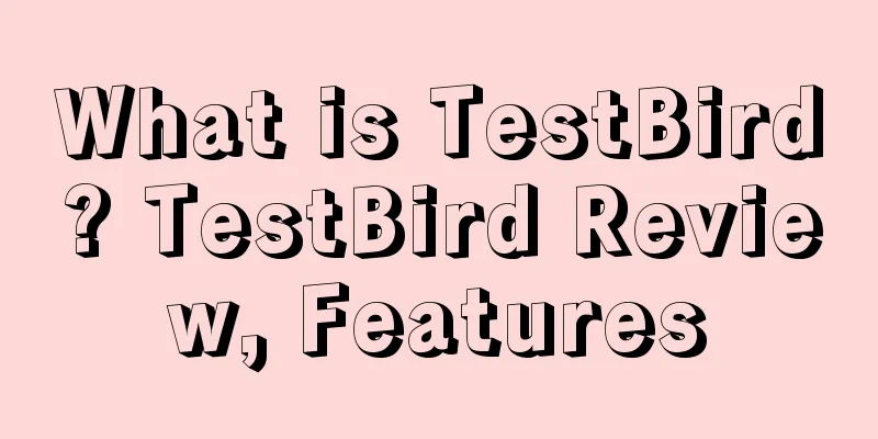 What is TestBird? TestBird Review, Features