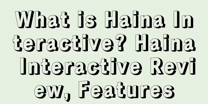What is Haina Interactive? Haina Interactive Review, Features