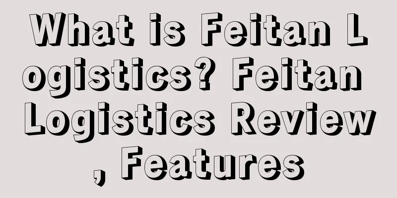 What is Feitan Logistics? Feitan Logistics Review, Features